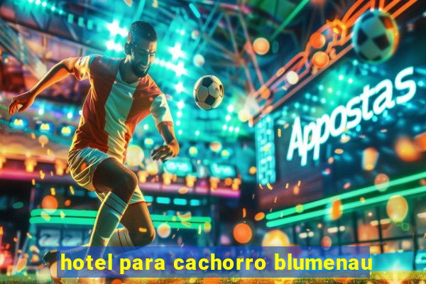 hotel para cachorro blumenau